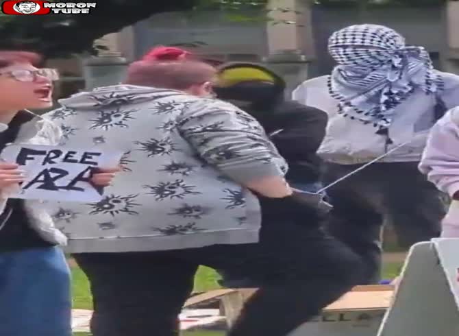 Video :At a pro-Palestinian demonstration, a lady responds as a guy raises an Israeli flag